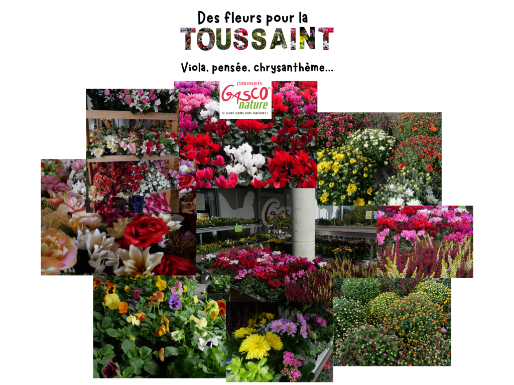 fleurs toussaint